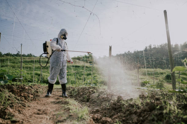Best Best Pest Control Companies  in Gardner, IL