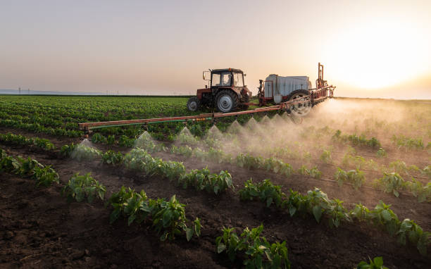 Pest Prevention Services in Gardner, IL