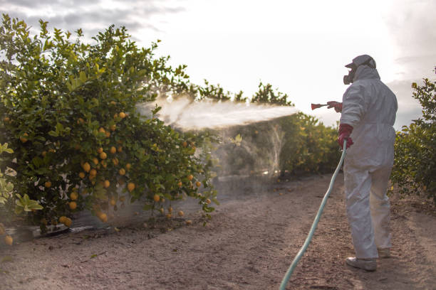 Best Pest Removal Services  in Gardner, IL