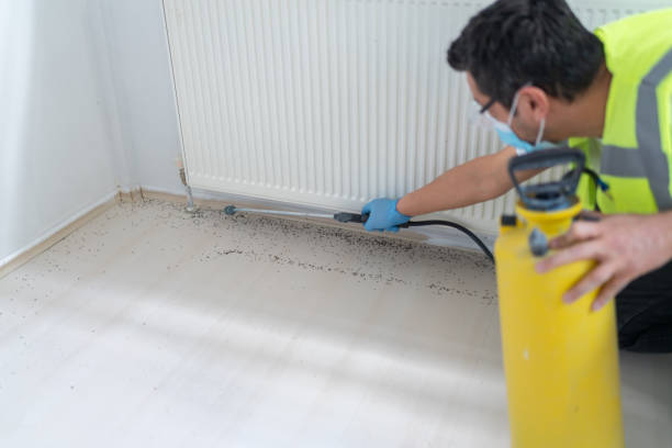 Best Exterminator Services  in Gardner, IL